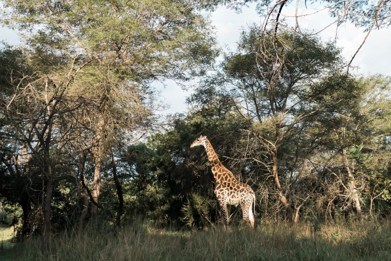 Tzaneen Country Lodge Kültér fotó